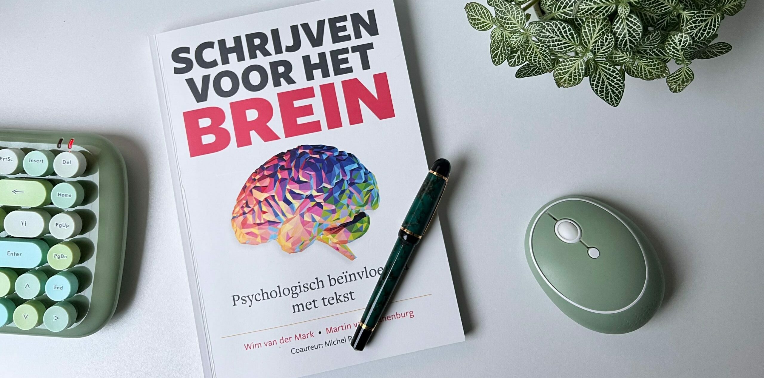 Review | Schrijven voor het brein - Van der Mark en Van Kranenburg